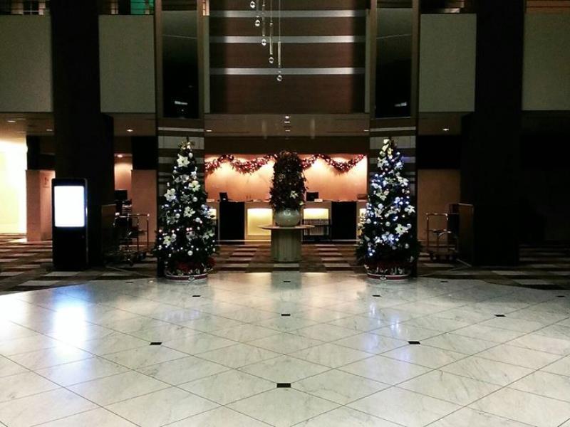 Hotel Ana Crowne Plaza By Ihg 4*