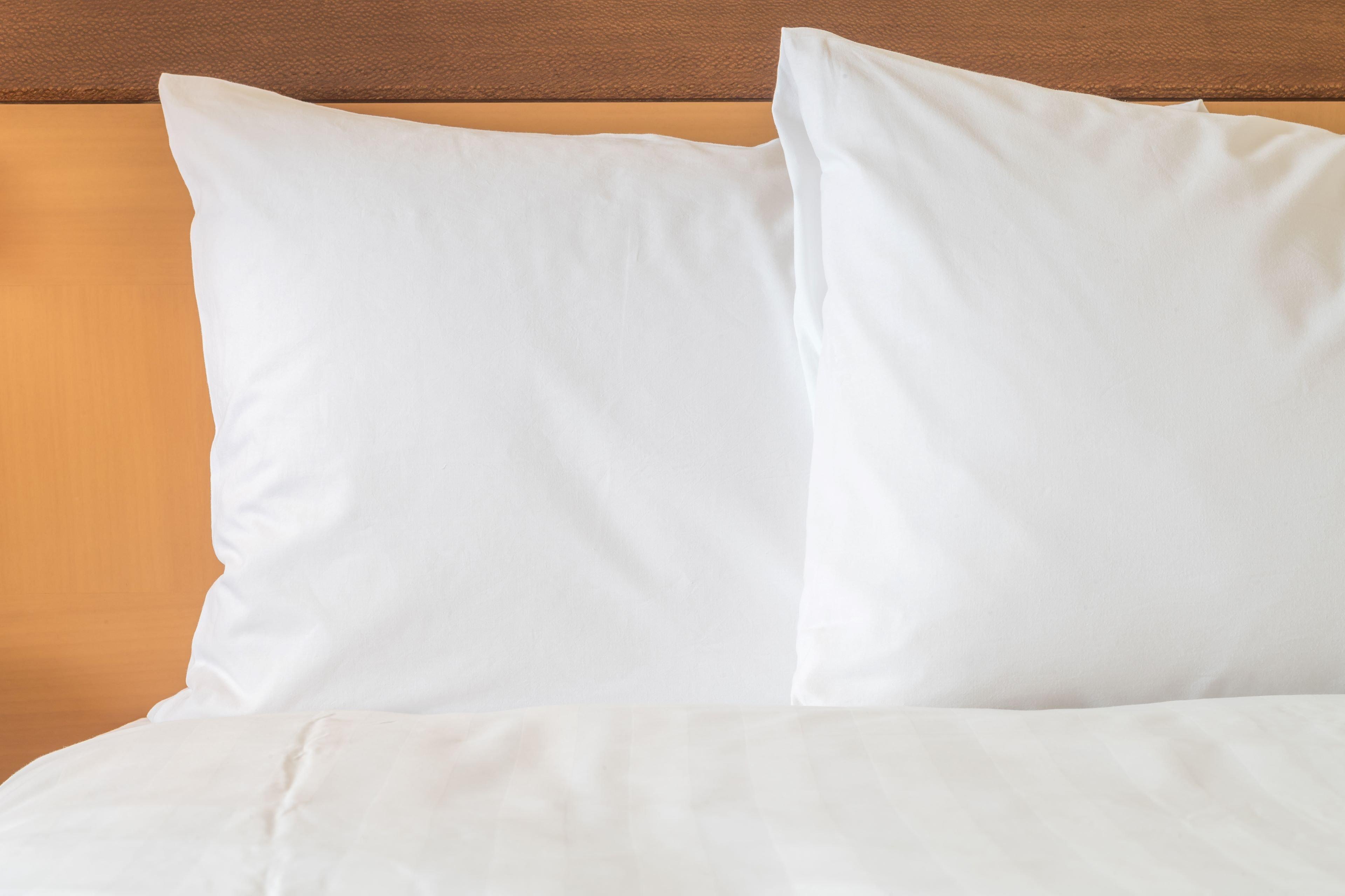 Hotel Ana Crowne Plaza By Ihg 4*